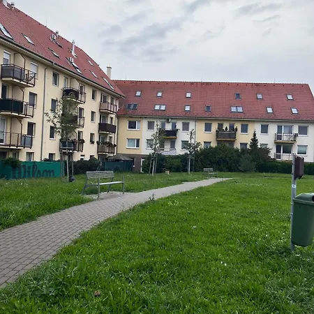 Apartament Rose