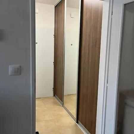 Rose 피에슈타니