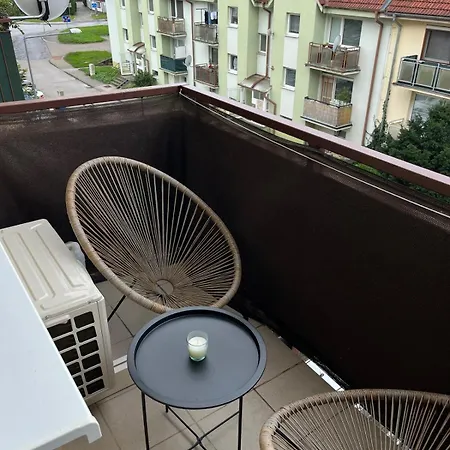 Rose * 피에슈타니